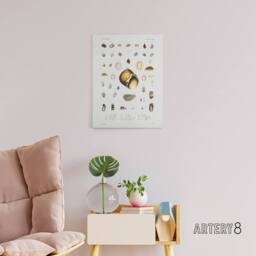 "Artery8 Sea snail varieties set Augustus Gould Canvas Wall Art Print in White - Size: W12"" x H16""" - thumbnail 3