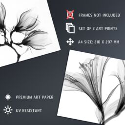 Artery8 Wall Art Print Flower X-Ray's Lily & Magnolia Black White Set Of 2 s Office Study Aesthetic Photograph A4 - thumbnail 4
