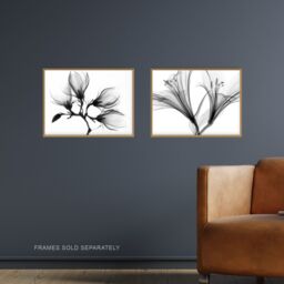 Artery8 Wall Art Print Flower X-Ray's Lily & Magnolia Black White Set Of 2 s Office Study Aesthetic Photograph A4 - thumbnail 2