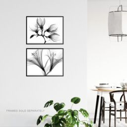 Artery8 Wall Art Print Flower X-Ray's Lily & Magnolia Black White Set Of 2 s Office Study Aesthetic Photograph A4 - thumbnail 3