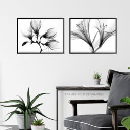 Artery8 Wall Art Print Flower X-Ray's Lily & Magnolia Black White Set Of 2 s Office Study Aesthetic Photograph A4 - thumbnail 6