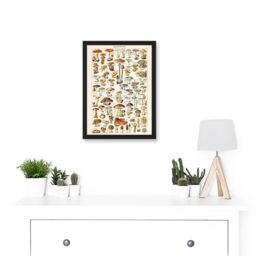 Artery8 Mushrooms Fungus Champignons A4 Artwork Framed Wall Art Print in Black - thumbnail 2