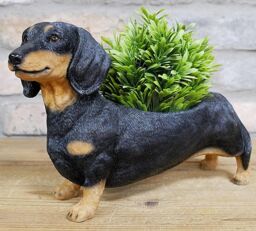 Animal Crackers Dachshund Planter Home Or Garden Decoration Sausage Dog Lover Gift in Brown - thumbnail 1