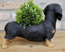 Animal Crackers Dachshund Planter Home Or Garden Decoration Sausage Dog Lover Gift in Brown - thumbnail 7