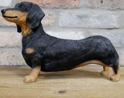 Animal Crackers Dachshund Planter Home Or Garden Decoration Sausage Dog Lover Gift in Brown - thumbnail 5
