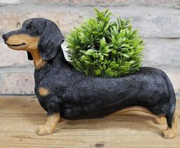 Animal Crackers Dachshund Planter Home Or Garden Decoration Sausage Dog Lover Gift in Brown - thumbnail 6