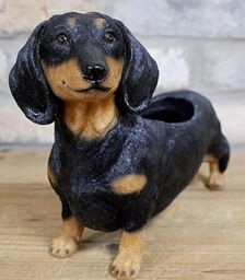 Animal Crackers Dachshund Planter Home Or Garden Decoration Sausage Dog Lover Gift in Brown - thumbnail 3