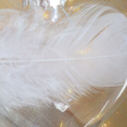 Amaya Rose Ltd WITH YOU ALWAYS In Memory of Feather Heart Bauble Gift Boxed in Clear - thumbnail 9