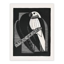 Artery8 Samuel J De Mesquita Framed Wall Art Print Stylised Parakeet Birds in Black - Size: A4 - thumbnail 3