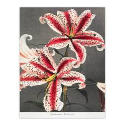 Artery8 Ogawa Kazumasa Framed Wall Art Print Pink Spotted Lily Flower Blooms - Size: A4 - thumbnail 3