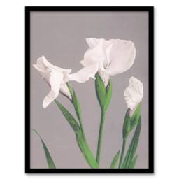 Artery8 Ogawa Kazumasa Framed Wall Art Print White Irises Blooming Flowers in Green - Size: A4 - thumbnail 1
