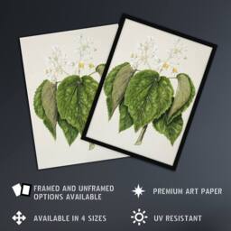 Artery8 New Zealand Whau Cork Tree Flowers Featon Framed Wall Art Print in Beige - Size: A4 - thumbnail 2