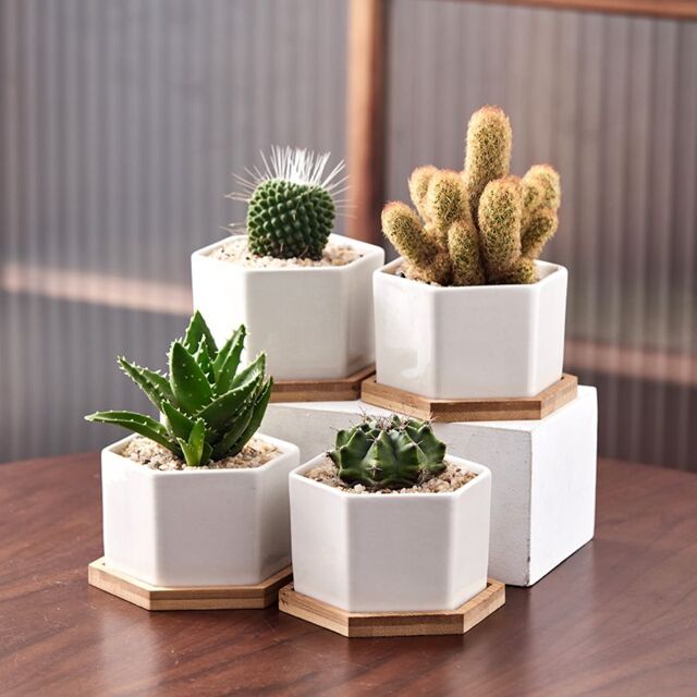simpa 6PC White Hexagonal Ceramic Plant Pots with Bamboo Base - image 1