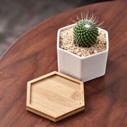 simpa 6PC White Hexagonal Ceramic Plant Pots with Bamboo Base - thumbnail 5