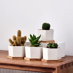 simpa 6PC White Hexagonal Ceramic Plant Pots with Bamboo Base - thumbnail 4
