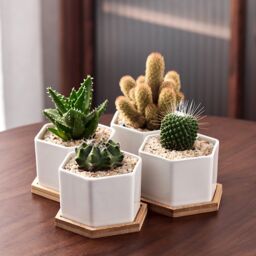 simpa 6PC White Hexagonal Ceramic Plant Pots with Bamboo Base - thumbnail 3