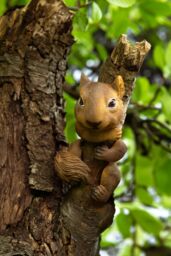 Marco Paul Squirrel Tree Peeker Resin Ornaments in Orange - thumbnail 2