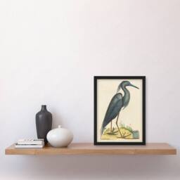 Artery8 Blue Heron Natural History Illustration Catesby Framed Wall Art Print in Beige - Size: A4 - thumbnail 2