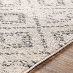 Livabliss Sunderland-Global Grey White Boho Living Dining Bedroom Rug in Light Grey - Size: 200 cm x 275 cm - thumbnail 3