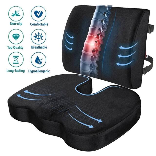 SPETLEK Back Support Seat Lumbar Cushion in Black - image 1