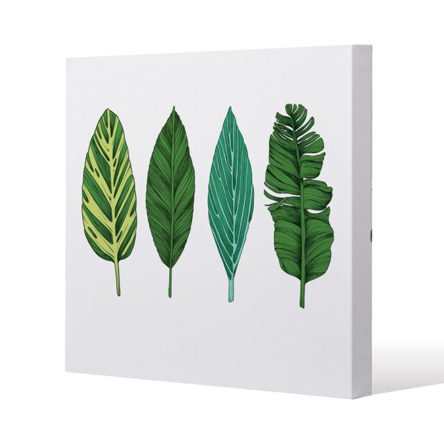 Benjamin Tate Design Four Leaves (Canvas Print) / 46 x 46 x 4cm in Natural - Size: 46 x 46 x 4 cm - image 1