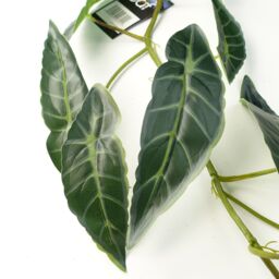 6 x 110cm Artificial Hanging Trailing Dark Green Leaf Plant - thumbnail 3