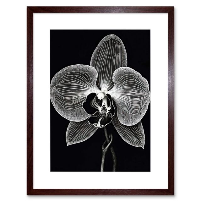 "Artery8 Wall Art Print Orchid Flower Bloom Black & White Blind Contour Artwork Framed 9X7 Inch in Brown - Size: W7"" x H9""" - image 1