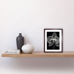 "Artery8 Wall Art Print Orchid Flower Bloom Black & White Blind Contour Artwork Framed 9X7 Inch in Brown - Size: W7"" x H9""" - thumbnail 2