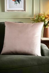 Appletree 'Harlan' Velvet Filled Cushion in Natural - Size: 55 cm x 55 cm