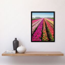 Artery8 Pink Tulip Fields Holland Artwork Summer Floral Framed Art Print - Size: A4 - thumbnail 4