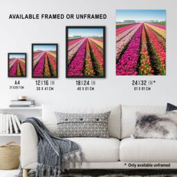Artery8 Pink Tulip Fields Holland Artwork Summer Floral Framed Art Print - Size: A4 - thumbnail 3