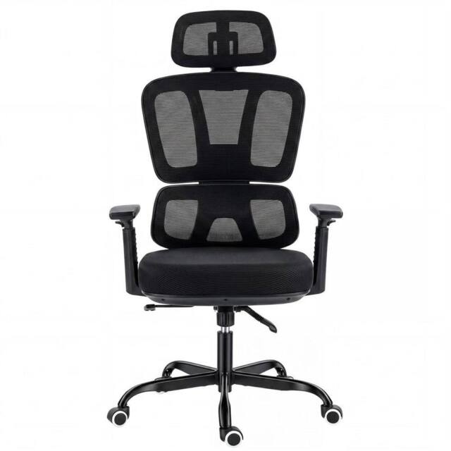 ERGOVEXA Mesh Back Swivel Office Chair Padded Seat Desk Chair with Headrest in Black - image 1