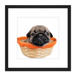 Artery8 Puppy Dog Basket Cute Photo 8X8 Inch Square Wooden Framed Wall Art Print Picture with Mount in Black - thumbnail 1