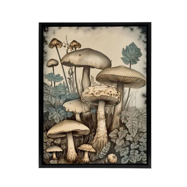 "Artery8 Mushroom Fungi Watercolour Vintage Framed Canvas Wall Art Print - Size: W12"" x H16""" - image 1