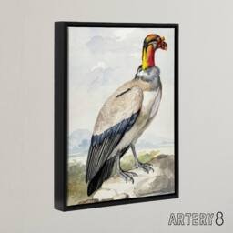 "Artery8 King Vulture Bird Vintage Watercolour Schouman Framed Canvas Wall Art - Size: W12"" x H16""" - thumbnail 2