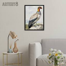 "Artery8 King Vulture Bird Vintage Watercolour Schouman Framed Canvas Wall Art - Size: W12"" x H16""" - thumbnail 3