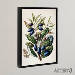 "Artery8 New Zealand Taraire Fruit Branch Featon Framed Canvas Wall Art Print in Beige - Size: W12"" x H16""" - thumbnail 2