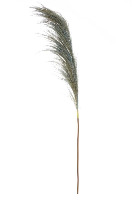 Orsina Fiori Pampas Grass Blue Stem, Natural Charm - image 1