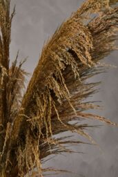 Orsina Fiori Pampas Grass Blue Stem, Natural Charm - thumbnail 5