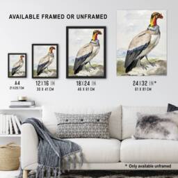 Artery8 King Vulture Bird Vintage Watercolour Schouman Framed Wall Art Print - Size: A4 - thumbnail 3