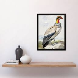 Artery8 King Vulture Bird Vintage Watercolour Schouman Framed Wall Art Print - Size: A4 - thumbnail 4