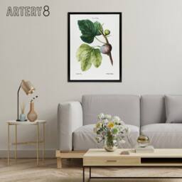 "Artery8 Botanical Ficus Carica Fig Redoute Black Framed Canvas Wall Art in White - Size: W12"" x H16""" - thumbnail 3
