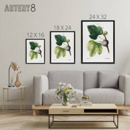 "Artery8 Botanical Ficus Carica Fig Redoute Black Framed Canvas Wall Art in White - Size: W12"" x H16""" - thumbnail 4