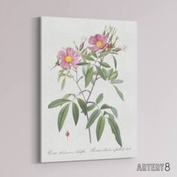 "Artery8 Hudson Swamp Rose Flowers Redoute Vintage Canvas Wall Art in White - Size: W18"" x H24""" - thumbnail 2