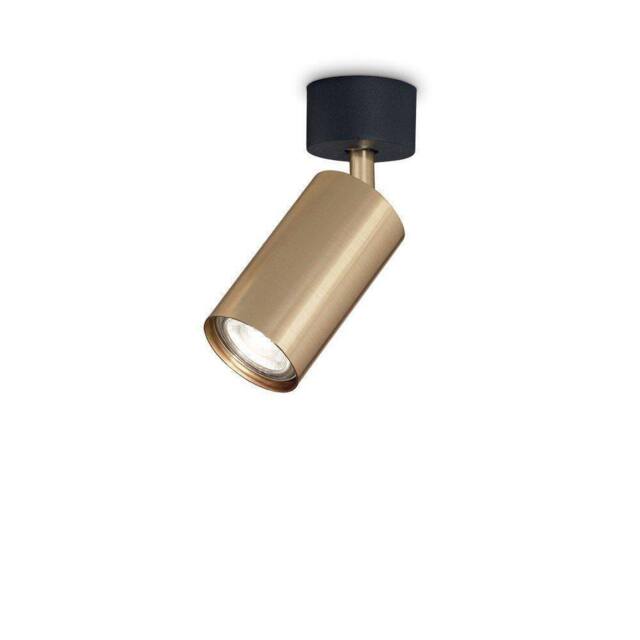 Netlighting Dynamite Indoor 1 Light Spotlight Ceiling Lamp Brass Satin GU10 in Yellow