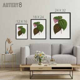 "Artery8 AF Lydon Benjamin Fawcett Bertolonia Guttata Leaves Framed Canvas Art in White - Size: W12"" x H16""" - thumbnail 4
