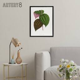 "Artery8 AF Lydon Benjamin Fawcett Bertolonia Guttata Leaves Framed Canvas Art in White - Size: W12"" x H16""" - thumbnail 3