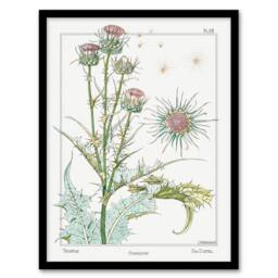 Artery8 Maurice Pillard Verneuil Framed Wall Art Print Thistle Flower Plant in White - Size: A4 - thumbnail 1