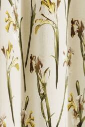 Ted Baker 'Wild Iris' Cotton Lined Curtains in Cream - Size: 168 cm width x 183 cm drop - thumbnail 3