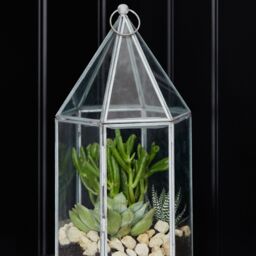 Ivyline Glasshouse Terrarium Galvanised, H36cm x W18cm- Perfect for gifting in Silver